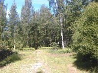 2014-06-15 13-00-43 1402826530